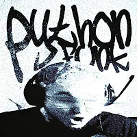 Rd12 — Python Funk Ft Sayfalse — обложка